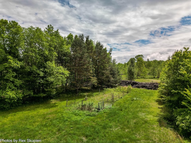 3118 W 104th St, Grant, MI 49327 - view of green lawn with a forest view