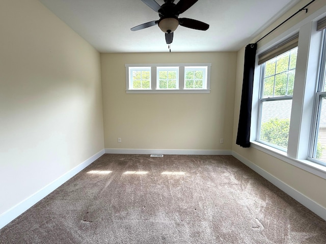 439 Summer Grove Dr, Douglas, MI 49406 - photo 31