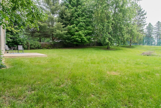 6604 E H Ave, Kalamazoo, MI 49048 - view of yard