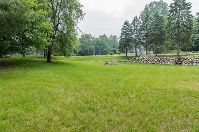 6604 E H Ave, Kalamazoo, MI 49048 - view of grassy yard