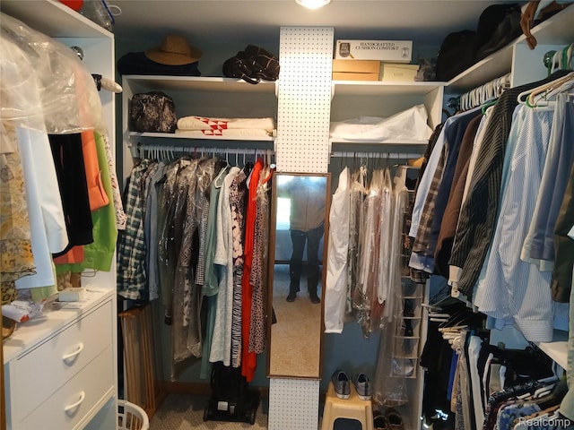 1455 Sand Rd, Port Austin, MI 48467 - view of spacious closet