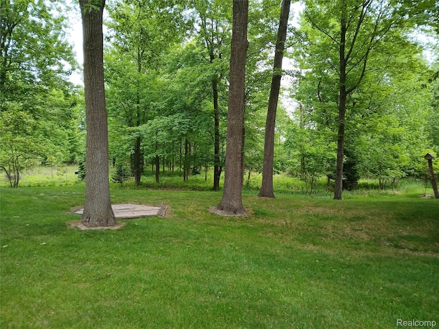 1455 Sand Rd, Port Austin, MI 48467 - view of green lawn