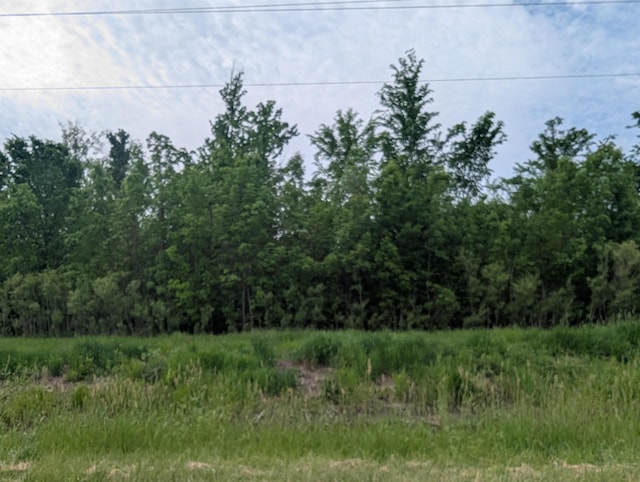 N/A Twining Rd, Au Gres, MI 48703