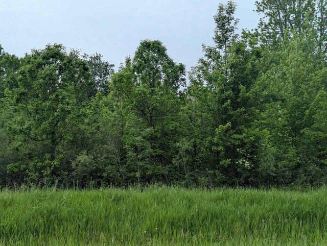N/A Twining Rd, Au Gres, MI 48703