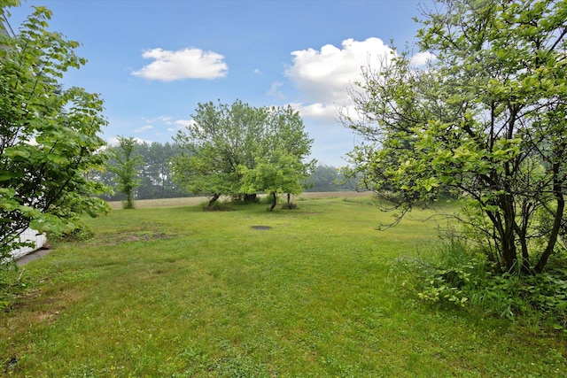 7100 Tripp Rd, Horton, MI 49246 - view of green lawn