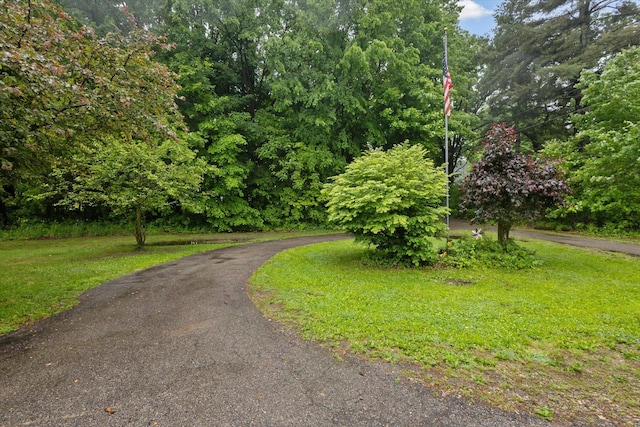 7100 Tripp Rd, Horton, MI 49246 - view of road