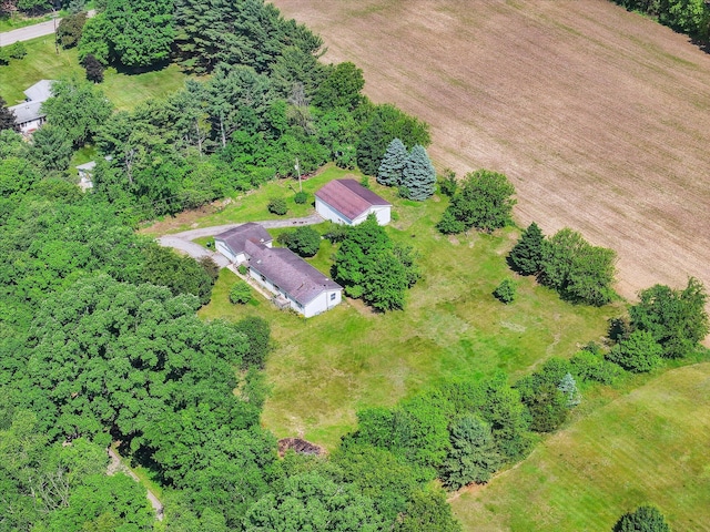 7100 Tripp Rd, Horton, MI 49246 - drone / aerial view