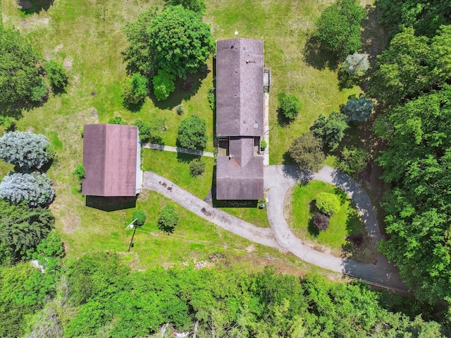 7100 Tripp Rd, Horton, MI 49246 - aerial view