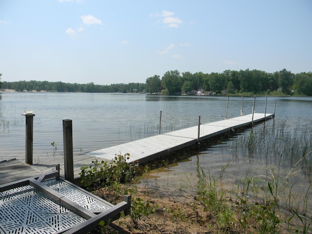 67 S Emerson Dr, Branch, MI 49402 - dock with a water view