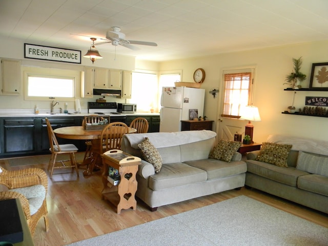 67 S Emerson Dr, Branch, MI 49402 - living room with light wood finished floors and a ceiling fan