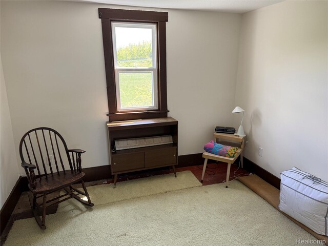 3190 Seymore Rd, Gaylord, MI 49735 - photo 9