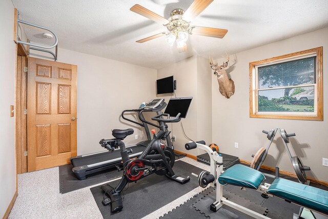 53029 Meadow View Ln, Paw Paw, MI 49079 - exercise area featuring a ceiling fan and baseboards