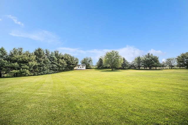 53029 Meadow View Ln, Paw Paw, MI 49079 - view of grassy yard