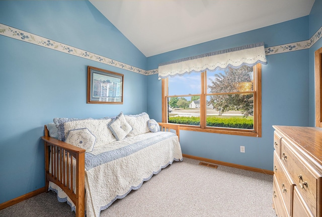 53029 Meadow View Ln, Paw Paw, MI 49079 - bedroom with lofted ceiling, baseboards, and carpet floors