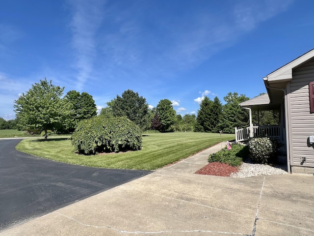 5781 S Waldron Rd, Pittsford, MI 49271 - view of green lawn