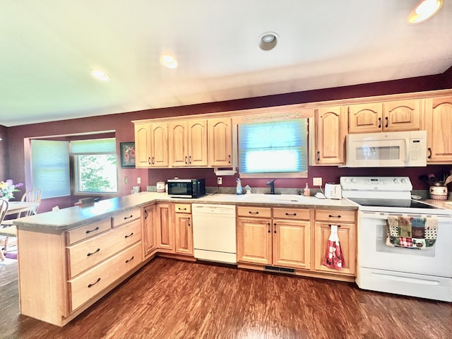 5781 S Waldron Rd, Pittsford, MI 49271 - kitchen with white appliances, a sink, light brown cabinets, light countertops, and dark wood-type flooring