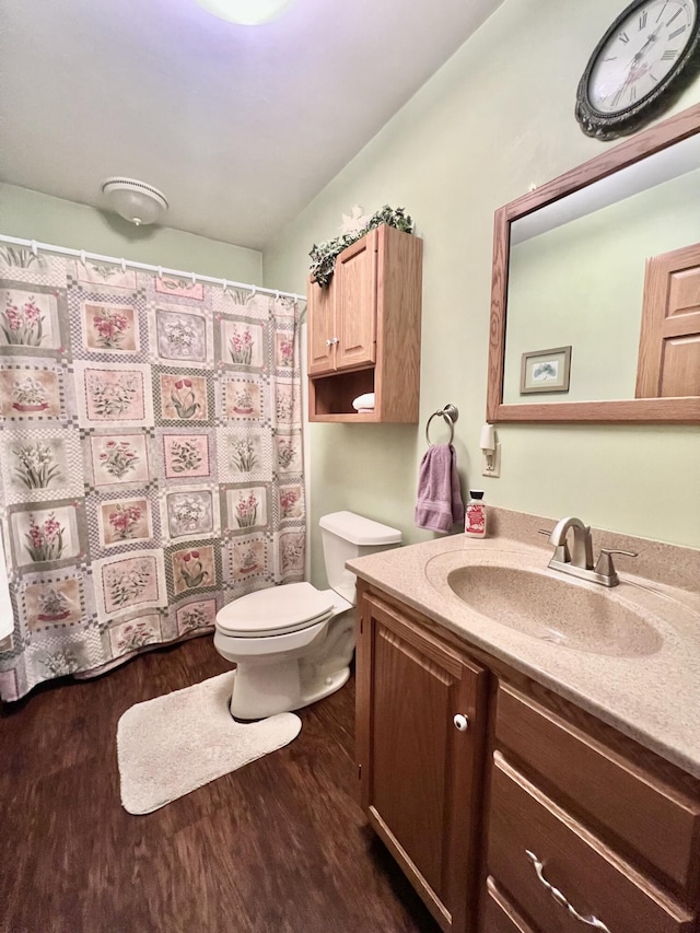 5781 S Waldron Rd, Pittsford, MI 49271 - full bathroom featuring vanity, wood finished floors, toilet, and a shower with shower curtain