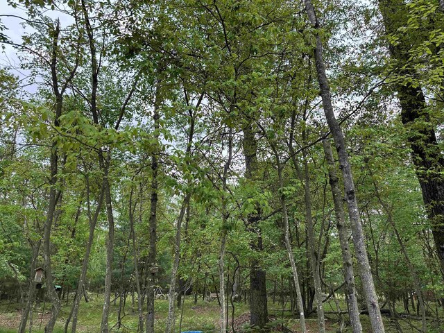 6239 Blackberry Dr, Alger, MI 48610