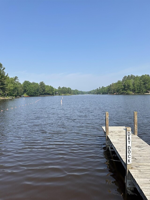 6239 Blackberry Dr, Alger, MI 48610