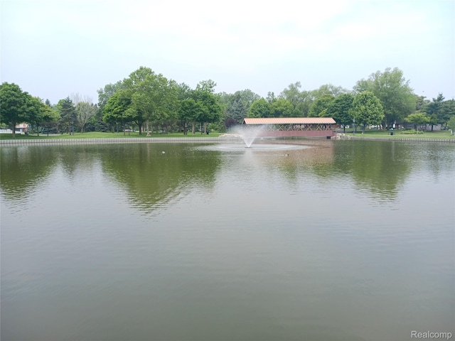 11132 Cape Cod St, Taylor, MI 48180 - water view