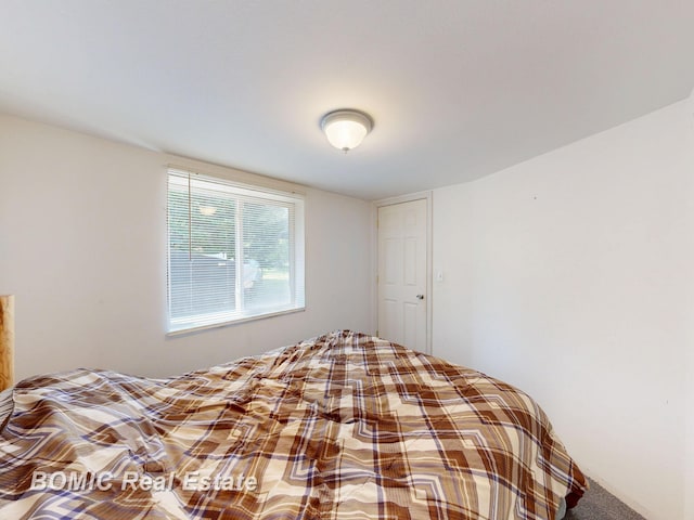 2081 Skiles Dr, Saint Helen, MI 48656 - bedroom featuring carpet flooring
