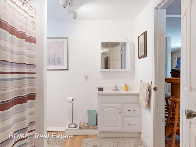 2081 Skiles Dr, Saint Helen, MI 48656 - bathroom featuring vanity, wood finished floors, baseboards, and a shower with shower curtain