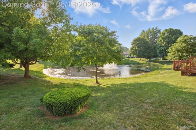 2216 Lone Wolf Ln, Canton, MI 48188 - photo 35