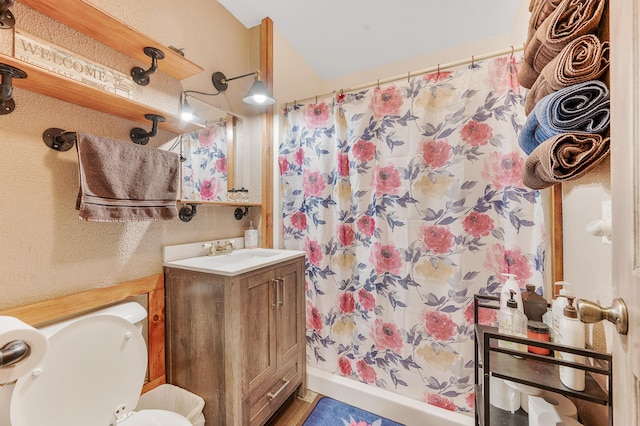 22251 210th Ave, Tustin, MI 49688 - full bathroom featuring vanity, toilet, curtained shower, and a textured wall
