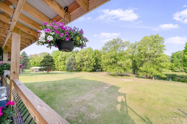 22251 210th Ave, Tustin, MI 49688 - view of green lawn with view of wooded area