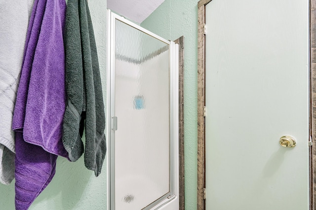 22251 210th Ave, Tustin, MI 49688 - full bath featuring a textured wall and a stall shower