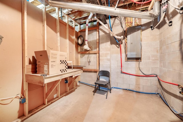 22251 210th Ave, Tustin, MI 49688 - unfinished basement with electric panel and concrete block wall