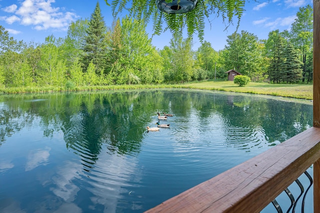 22251 210th Ave, Tustin, MI 49688 - water view with a forest