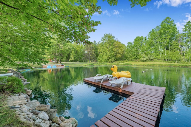 22251 210th Ave, Tustin, MI 49688 - dock area featuring a water view and a forest view