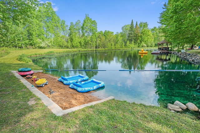 22251 210th Ave, Tustin, MI 49688 - dock with a water view and a view of trees