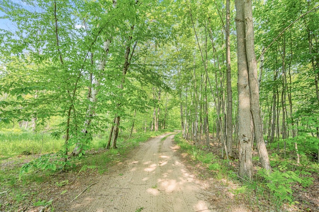 22251 210th Ave, Tustin, MI 49688 - view of road with a forest view
