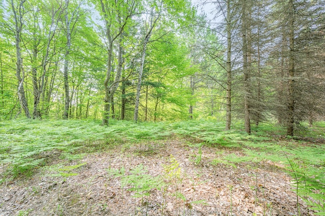 22251 210th Ave, Tustin, MI 49688 - view of tree filled area