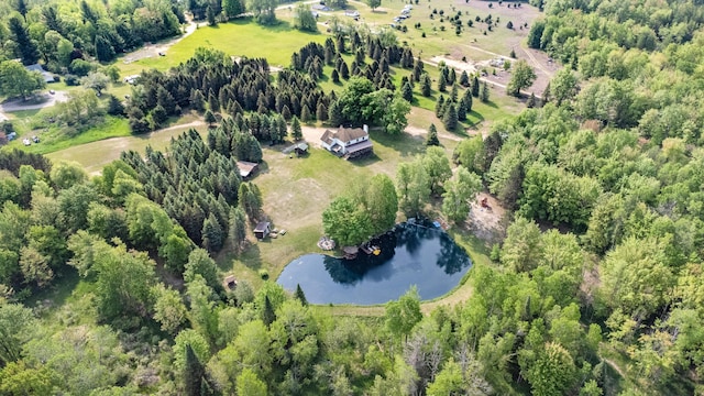 22251 210th Ave, Tustin, MI 49688 - aerial view of property and surrounding area featuring a nearby body of water
