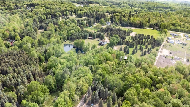 22251 210th Ave, Tustin, MI 49688 - bird's eye view of a forest and a large body of water