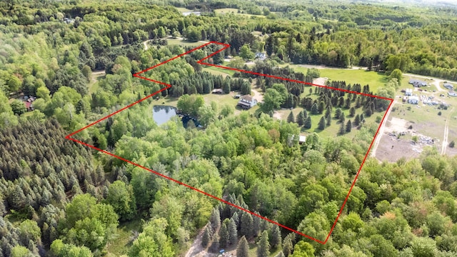 22251 210th Ave, Tustin, MI 49688 - aerial view of property and surrounding area featuring a forest, property parcel outlined, and a large body of water