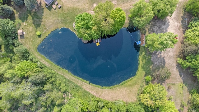 22251 210th Ave, Tustin, MI 49688 - bird's eye view of a nearby body of water