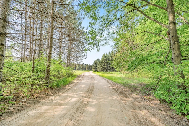 22251 210th Ave, Tustin, MI 49688 - view of dirt / gravel road featuring a forest view