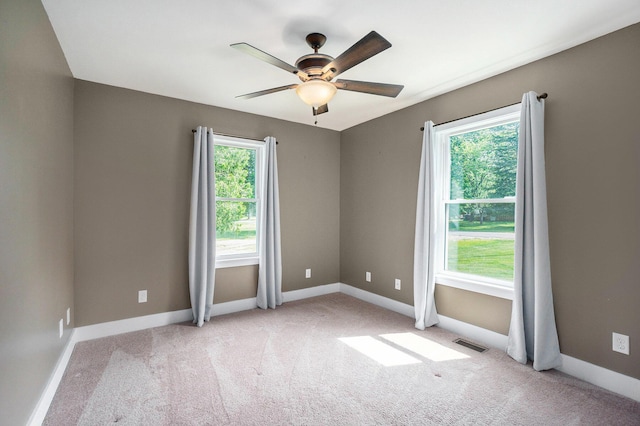 171 Arnold St, Allegan, MI 49010 - spare room with plenty of natural light, carpet floors, and baseboards