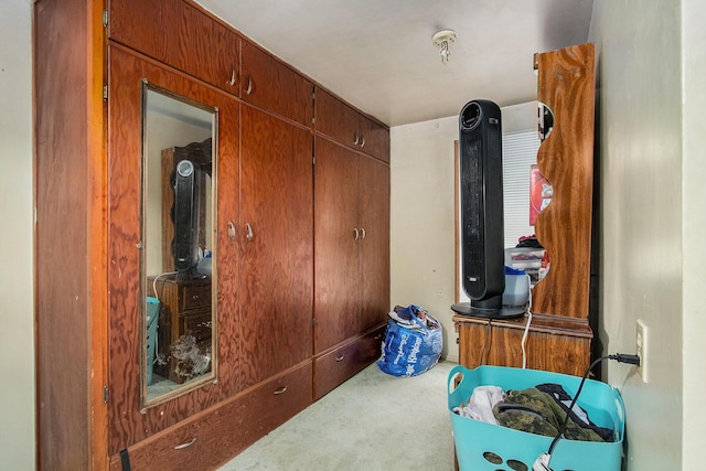 204 Clinton St, Dowagiac, MI 49047 - spacious closet featuring carpet