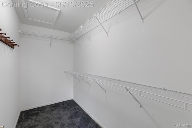 109 Burwyck Park Dr, Saline, MI 48176 - photo 24