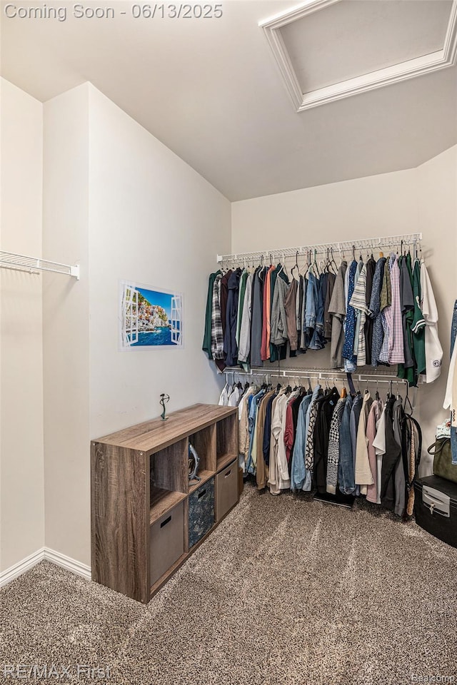 17769 Tiger Dr, Macomb, MI 48042 - walk in closet featuring attic access and carpet floors