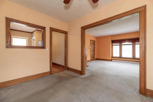 3804 Portage St, Kalamazoo, MI 49001 - carpeted spare room featuring plenty of natural light, ceiling fan, a textured ceiling, and a textured wall