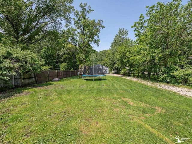 9601 Exeter Rd, Carleton, MI 48117 - view of yard with a trampoline