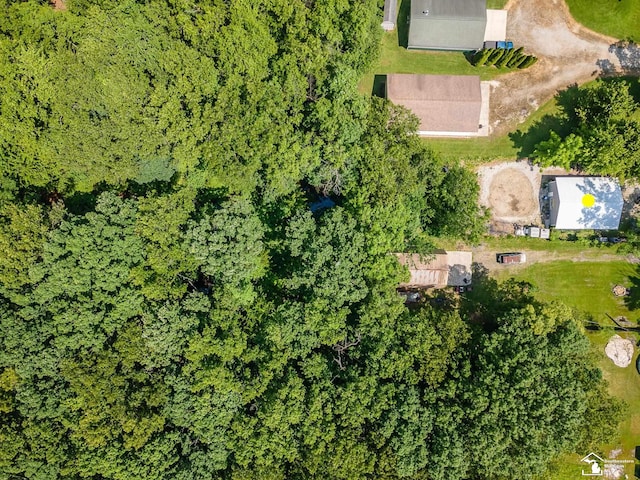 9601 Exeter Rd, Carleton, MI 48117 - bird's eye view