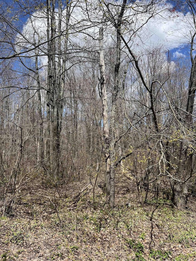 00 Wood Rd NE, Kalkaska, MI 49646