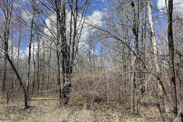 00 Wood Rd NE, Kalkaska, MI 49646